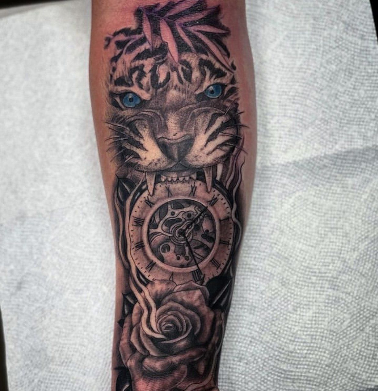 Tattoo tiger biting on clock