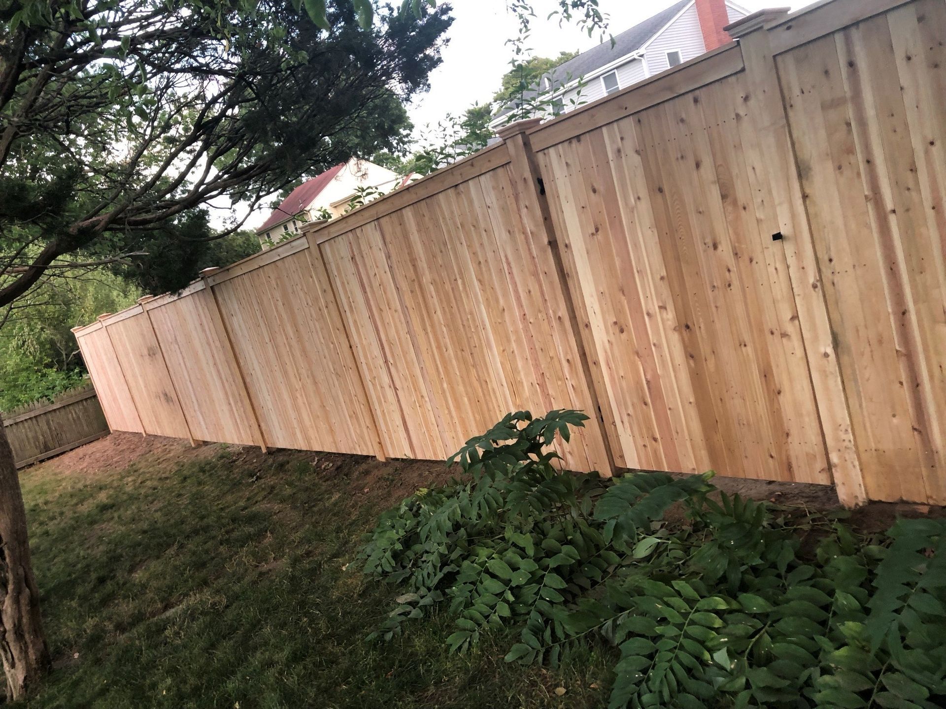 Wood fence in a backyard, angled view, green grass and plants in foreground.
