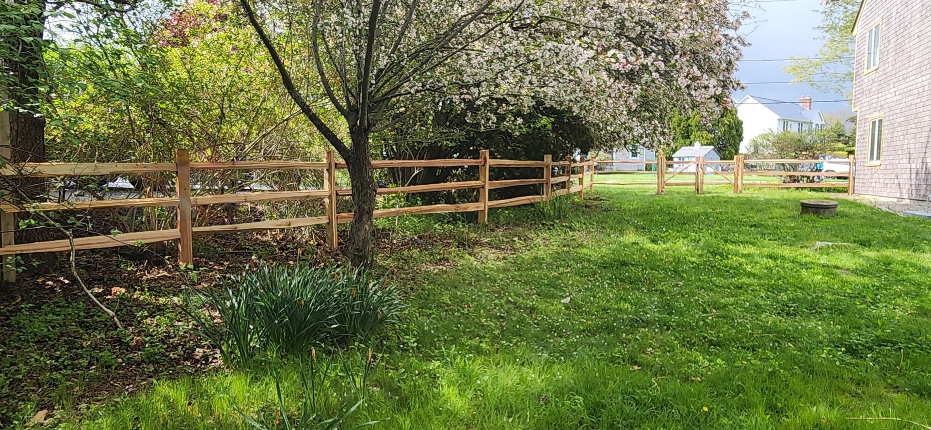 Sunny backyard with green grass, wooden fence, and trees beside a house