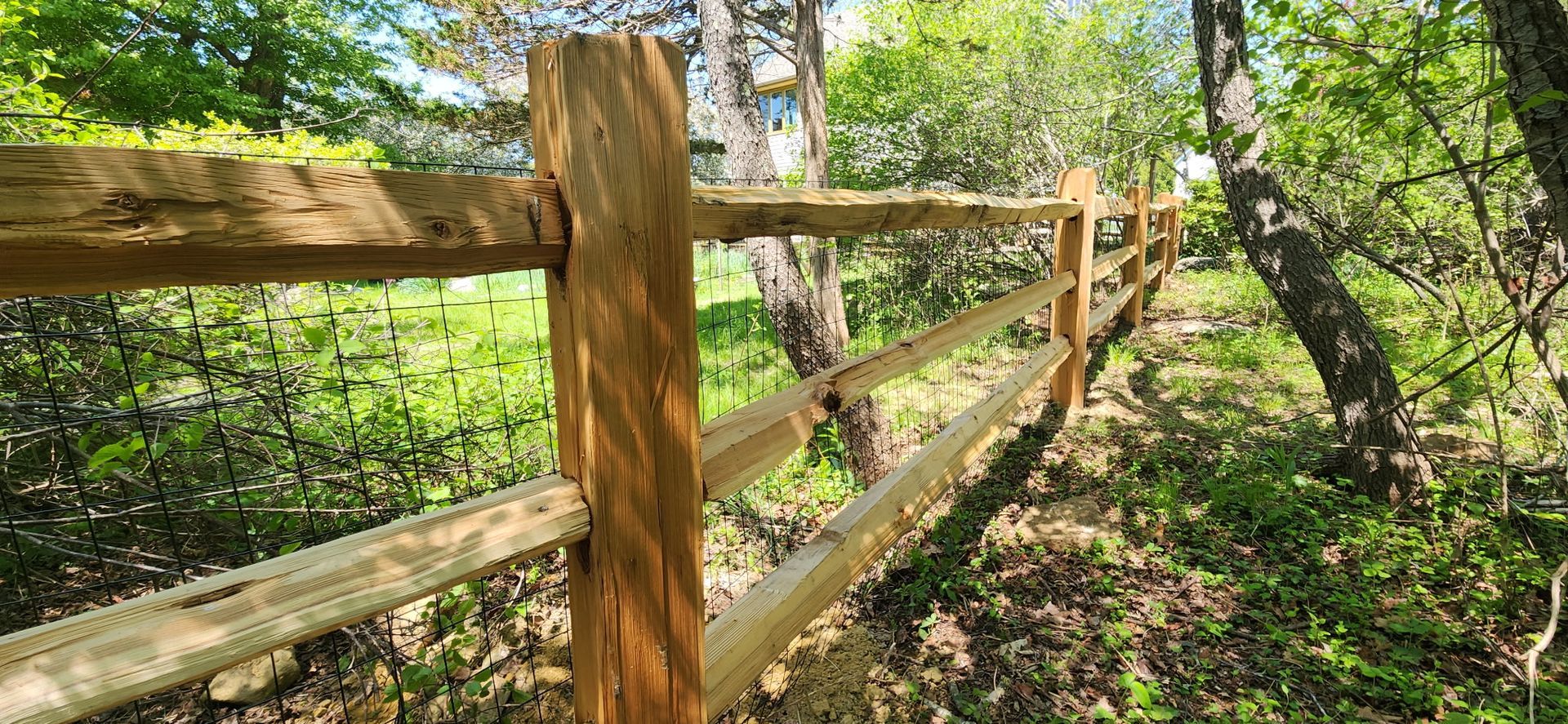 Wooden fence along a sunlit forest trail amid green trees and foliage