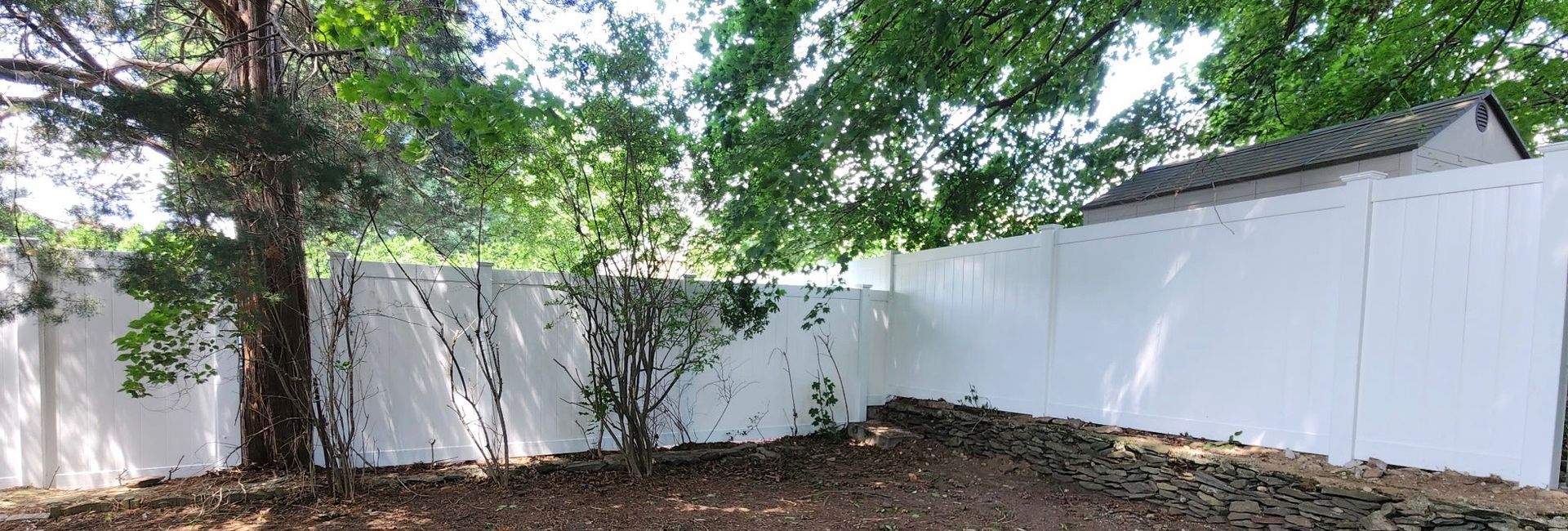 White privacy fence curving around a dirt yard with tall trees and green foliage overhead