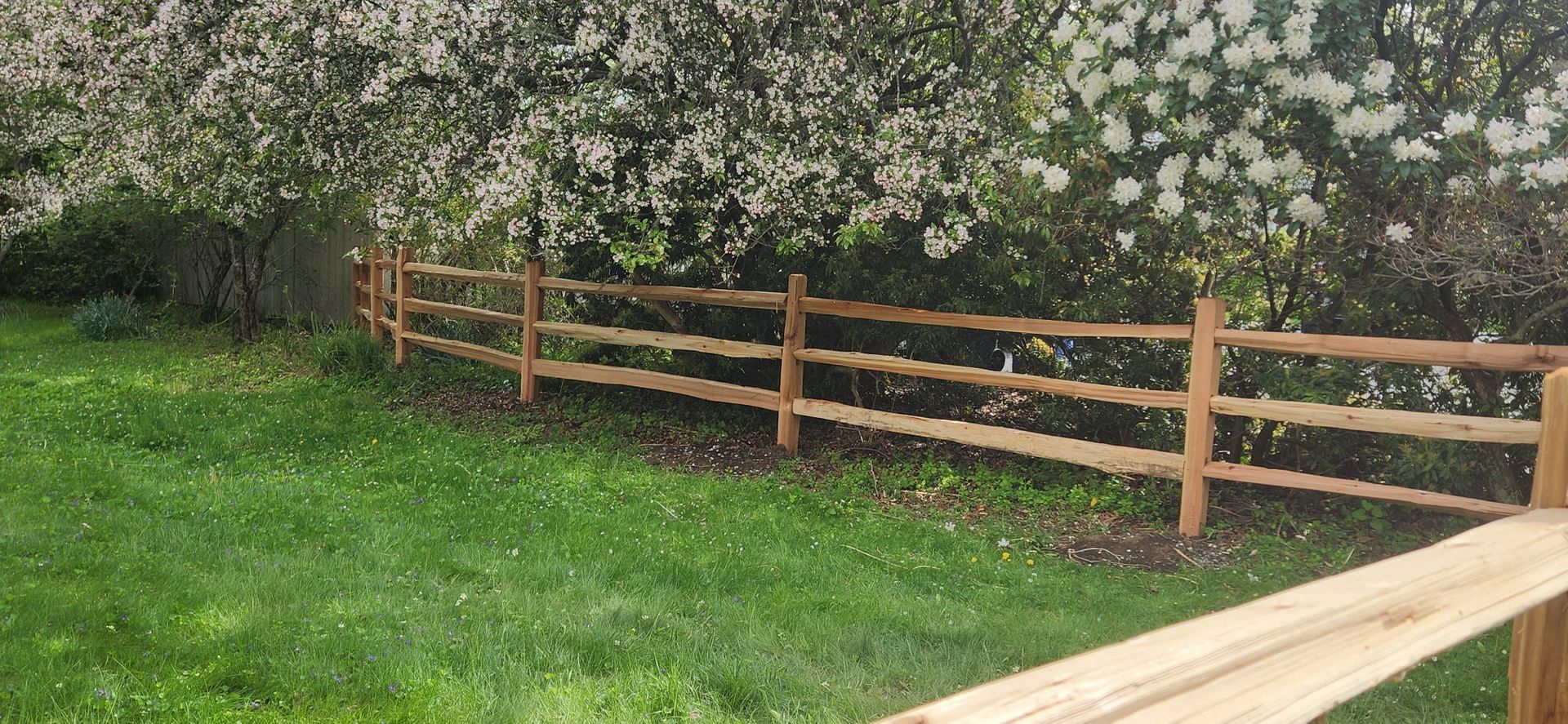 Wooden fence along a green grassy yard beside a blooming hedge, with a bench in the foreground