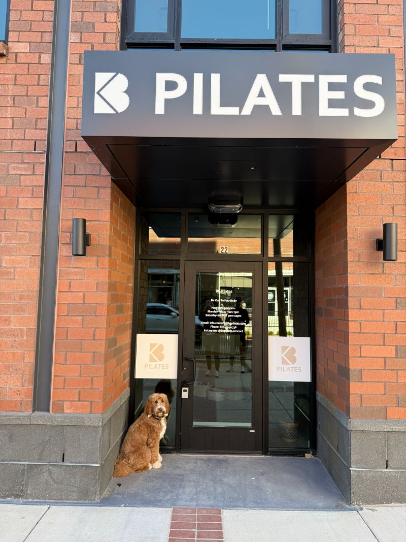 A dog is sitting in the doorway of a pilates studio