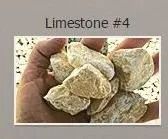 Handful of light-colored limestone rocks.