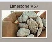 Handful of light gray #57 limestone rocks.