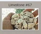 Handful of light gray limestone rocks.