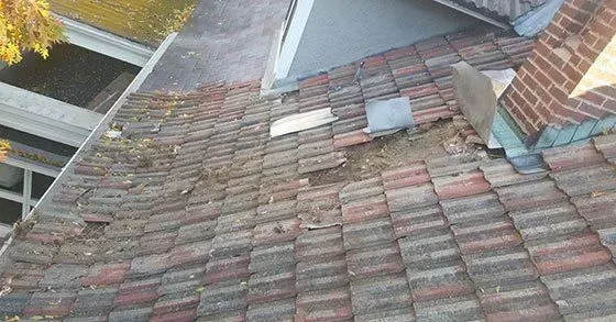 Roof shingles and skylights on a house, viewed from above near the edge of the roof