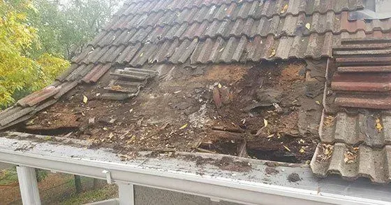 Damaged tiled roof with a large burnt, weathered section and debris near the gutter