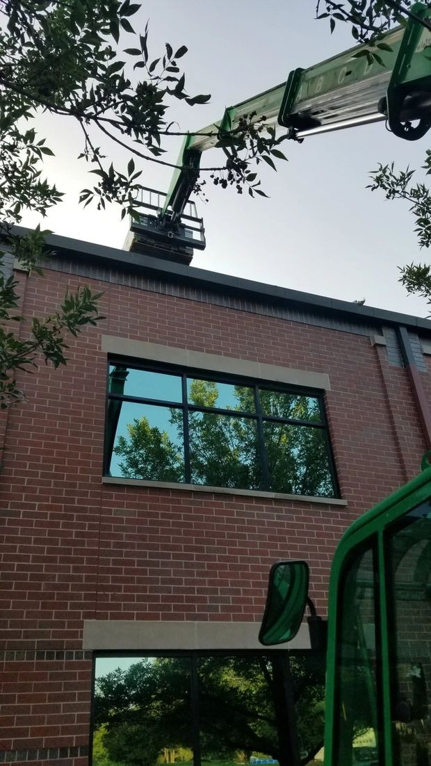 Workers in a cherry picker trimming tree branches above a brick building and window.