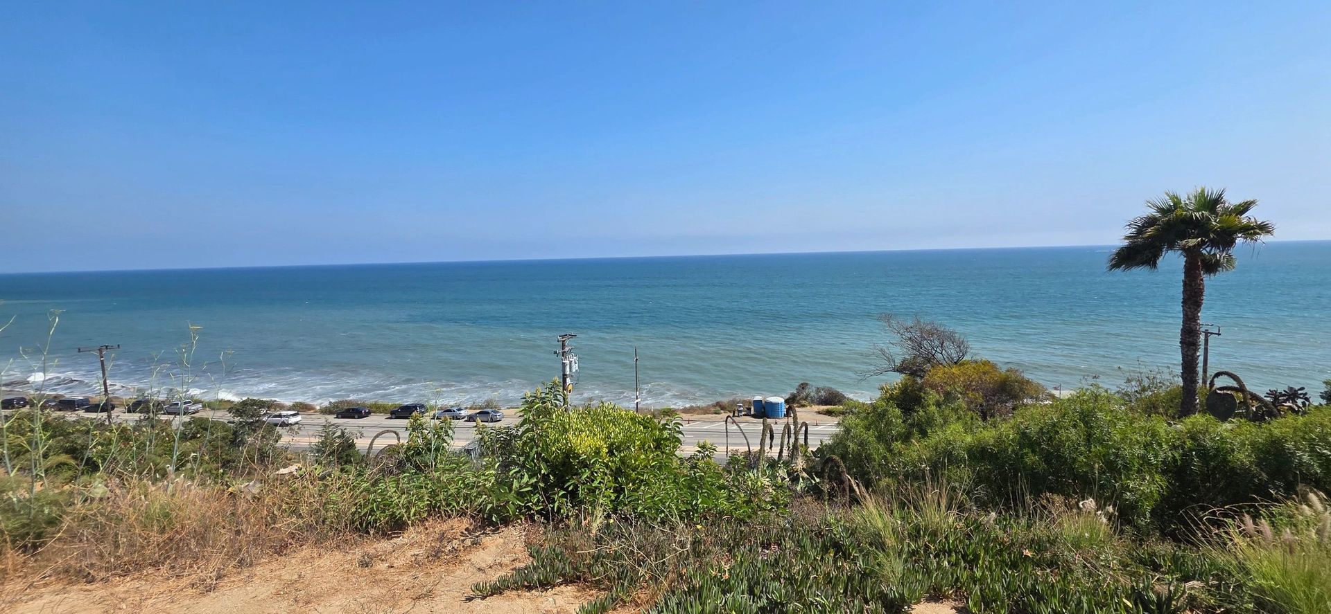 Ocean view with blue sky, green foliage, and a palm tree.