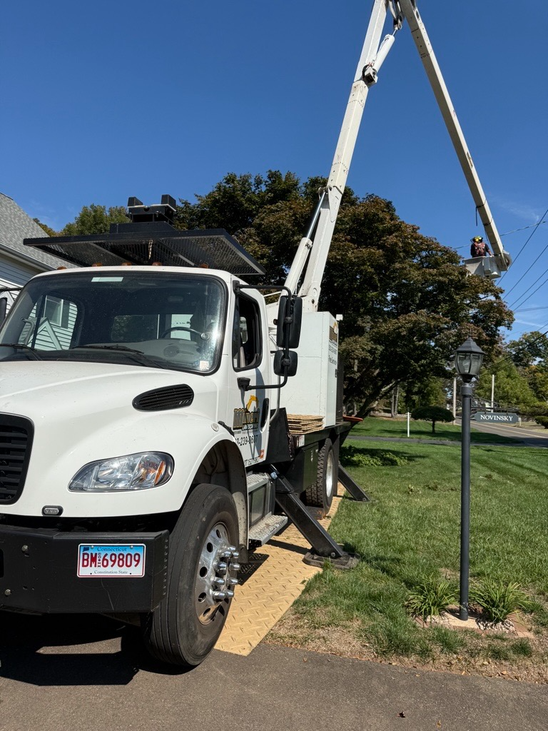 White utility truck with an extended boom, parked on a driveway with a worker in the bucket near overhead wires.