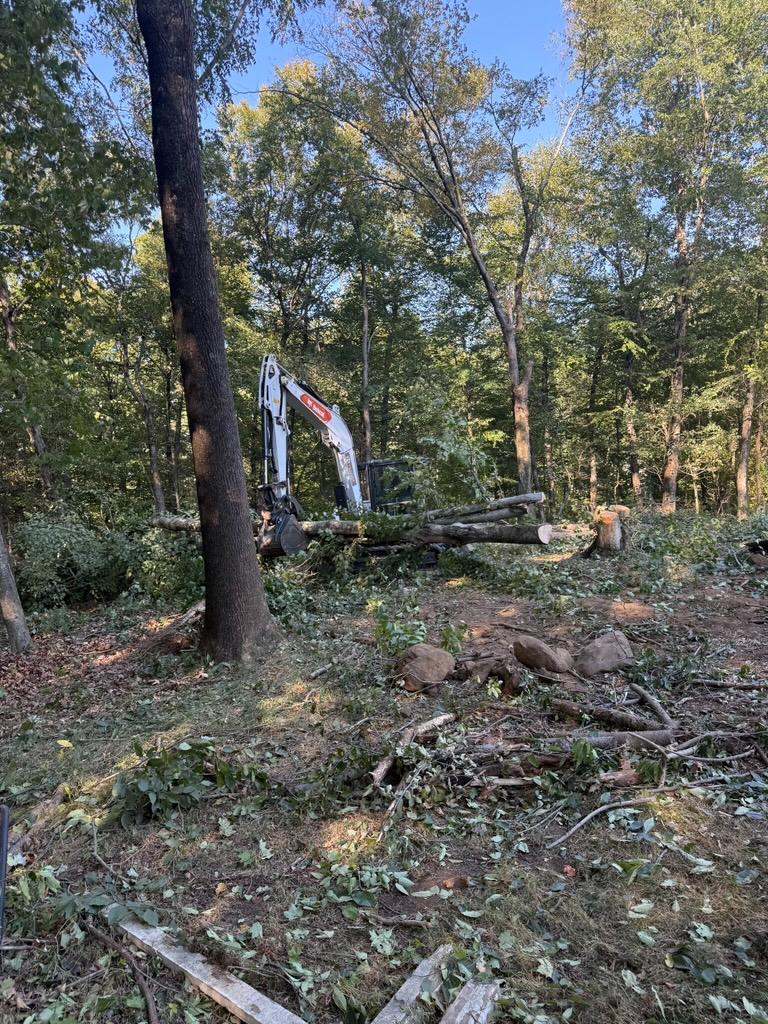 An excavator in a clearing surrounded by trees is removing branches and debris.