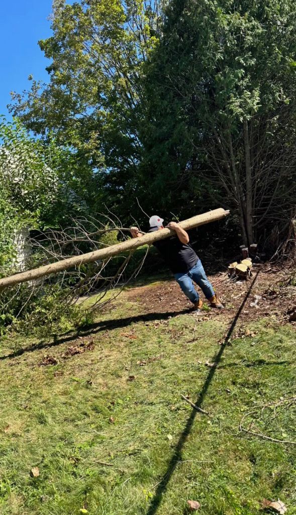 A man is carrying a large piece of wood in a yard.