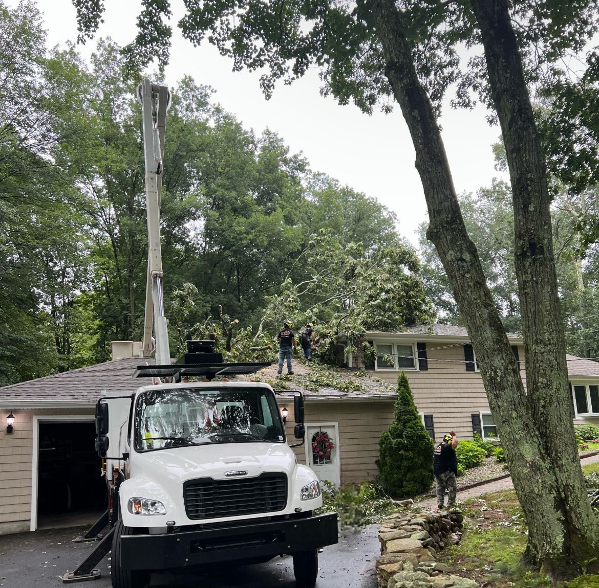 A white truck with a crane on top of it is cutting a tree.