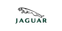 A jaguar logo with a jaguar jumping in the air on a white background.