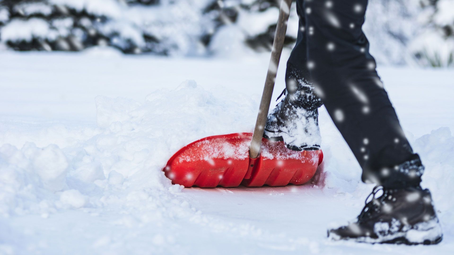 A person is shoveling snow with an orange snow shovel.