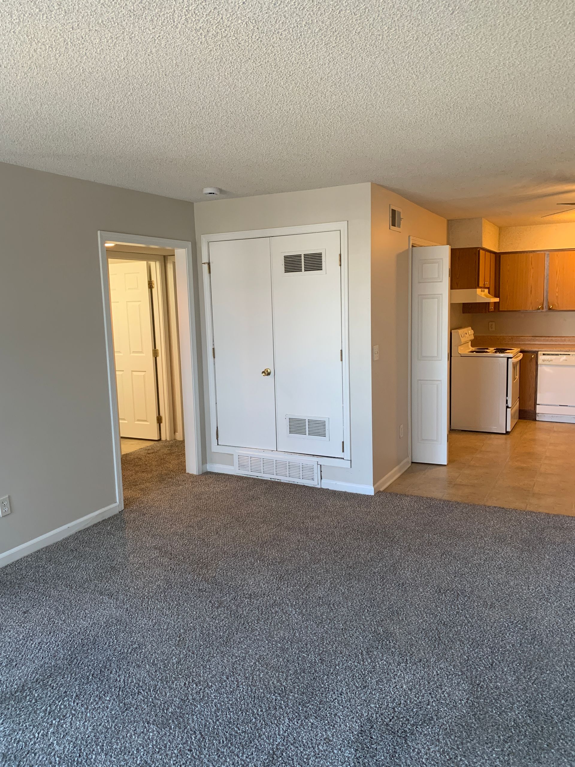 Living room with gray carpet, white doors, and a glimpse of a kitchen.