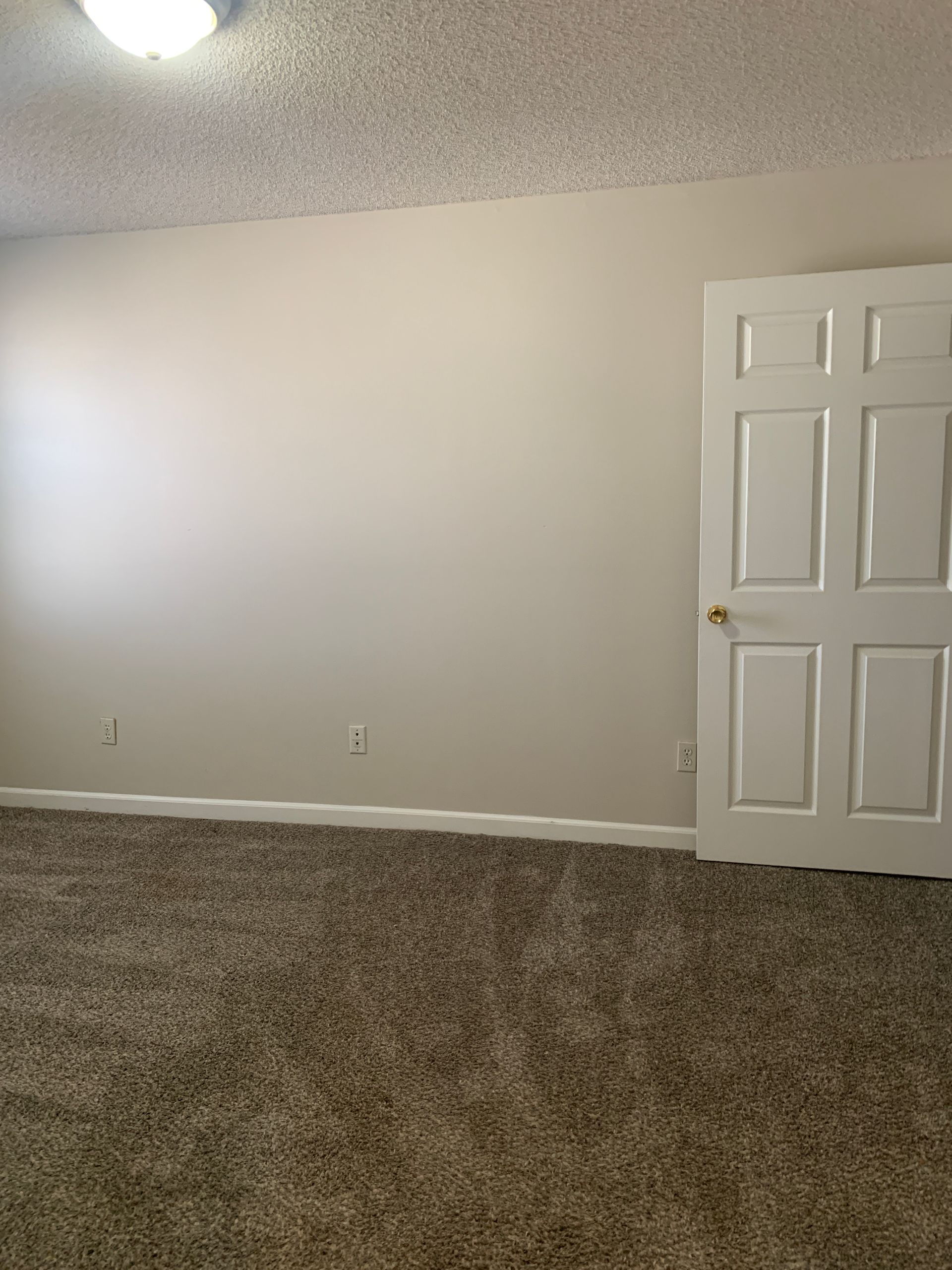 Empty room with beige walls, white door, and brown carpet.