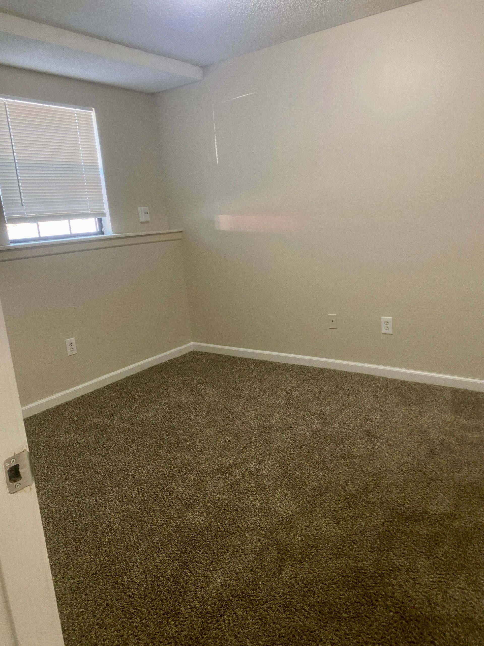 Empty room with tan carpet, beige walls, small window with blinds.