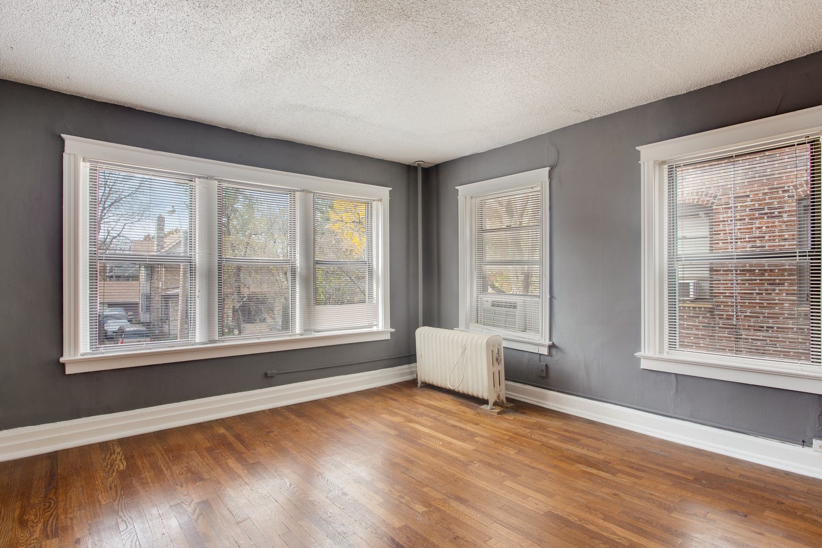 Empty room with wooden floors, gray walls, and three windows with white trim; radiator.