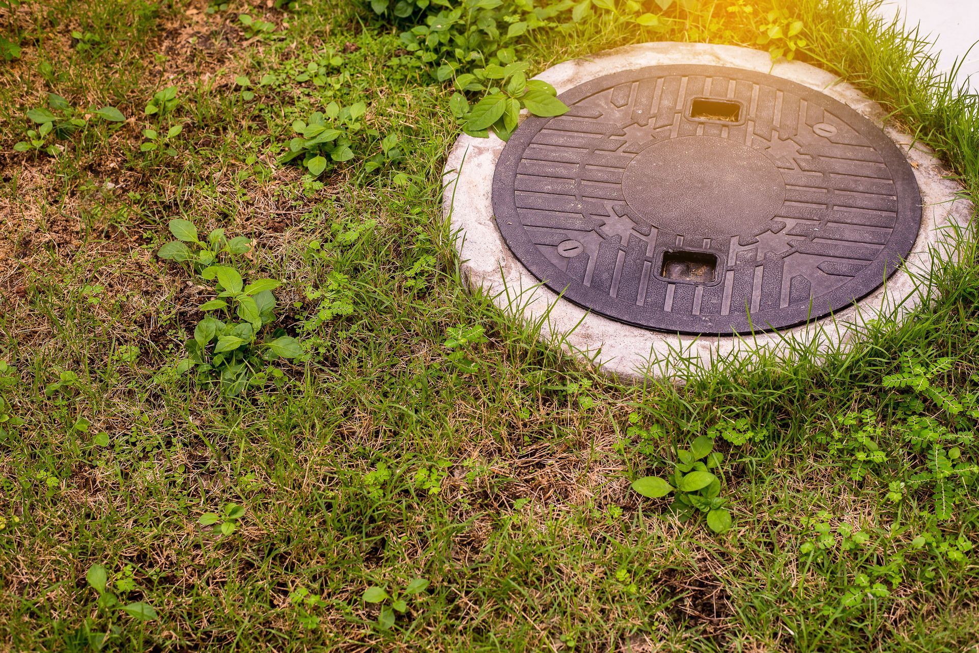 Circular sewer access cover in a grassy area, surrounded by vegetation.