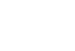 Powell's Precision Painting- logo