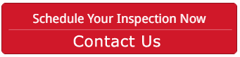 pest control termite inspection