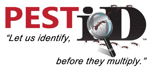 Pest iD - Logo