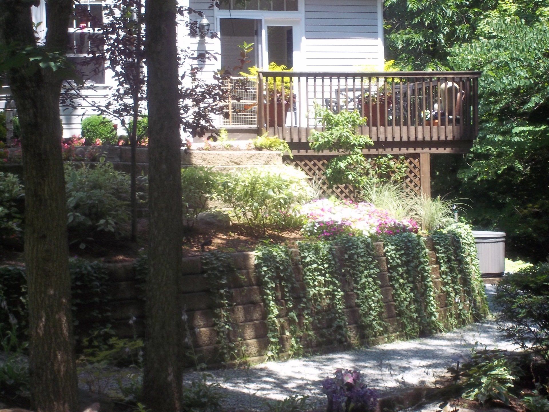 Residential house and plants