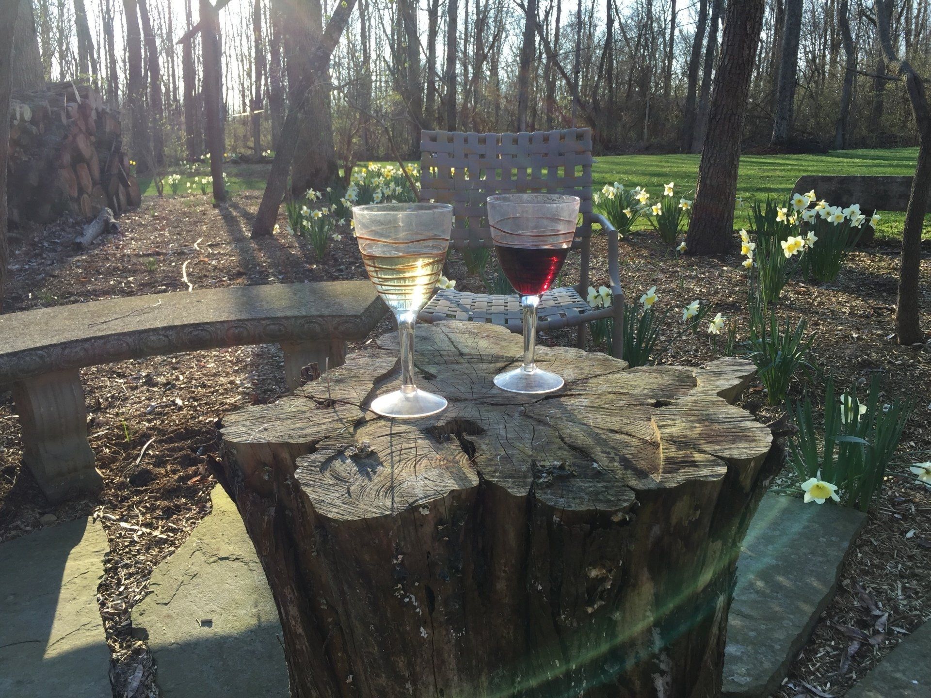 Wine glasses on wood