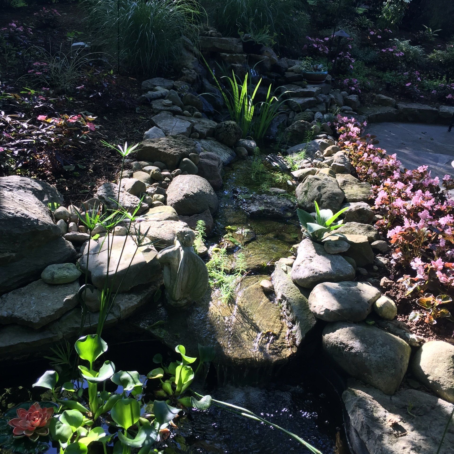 Rocks and water garden