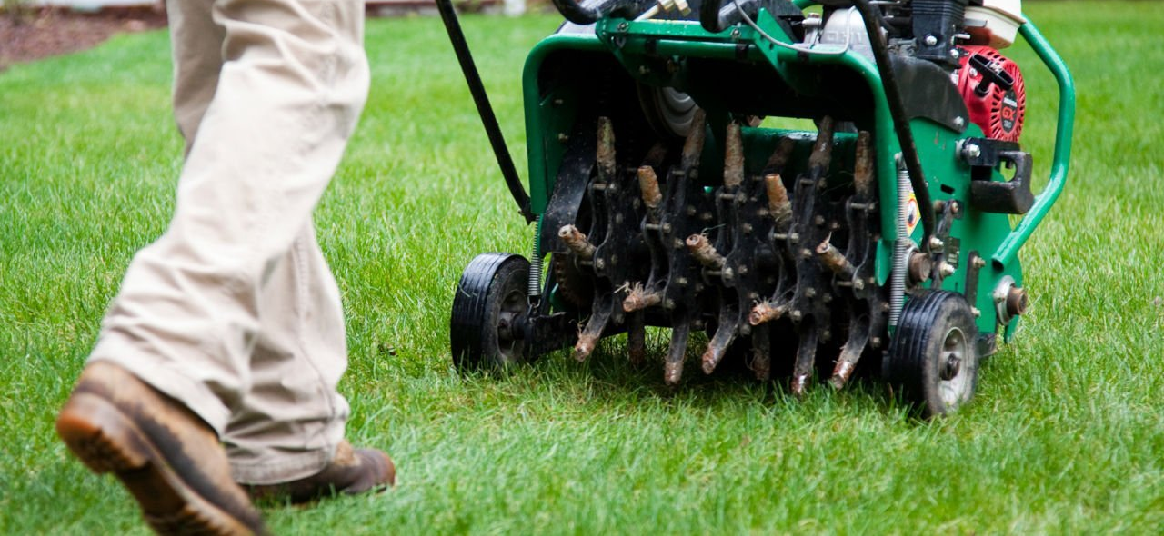 power raking and seeding
