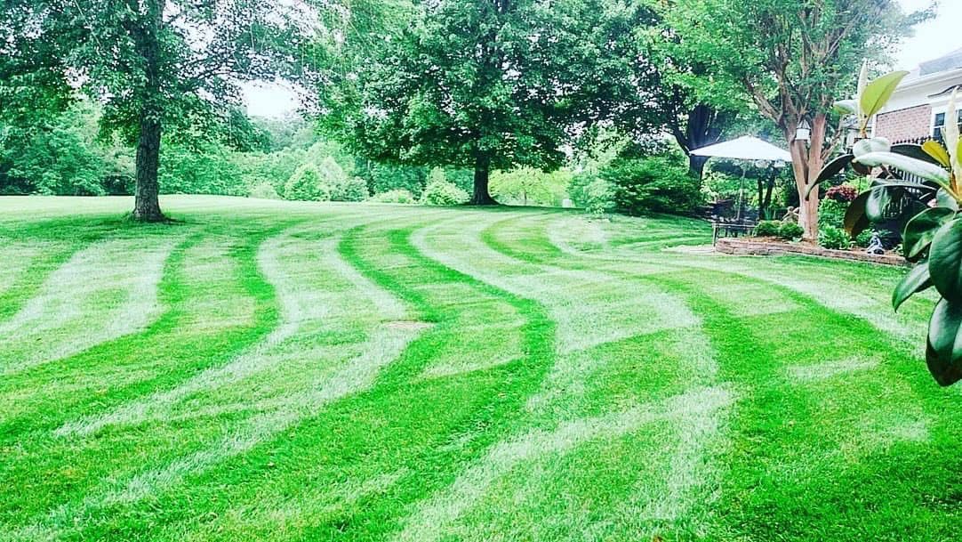 Green lawn with wavy mower stripes, trees, and a gazebo.