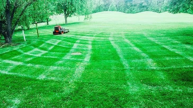 Lawn mower cutting a checkered pattern into green grass on a grassy field, under trees, on an overcast day.