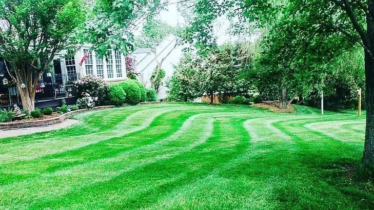 Green lawn with striped mowing pattern in front of a house, trees in the background, overcast sky.
