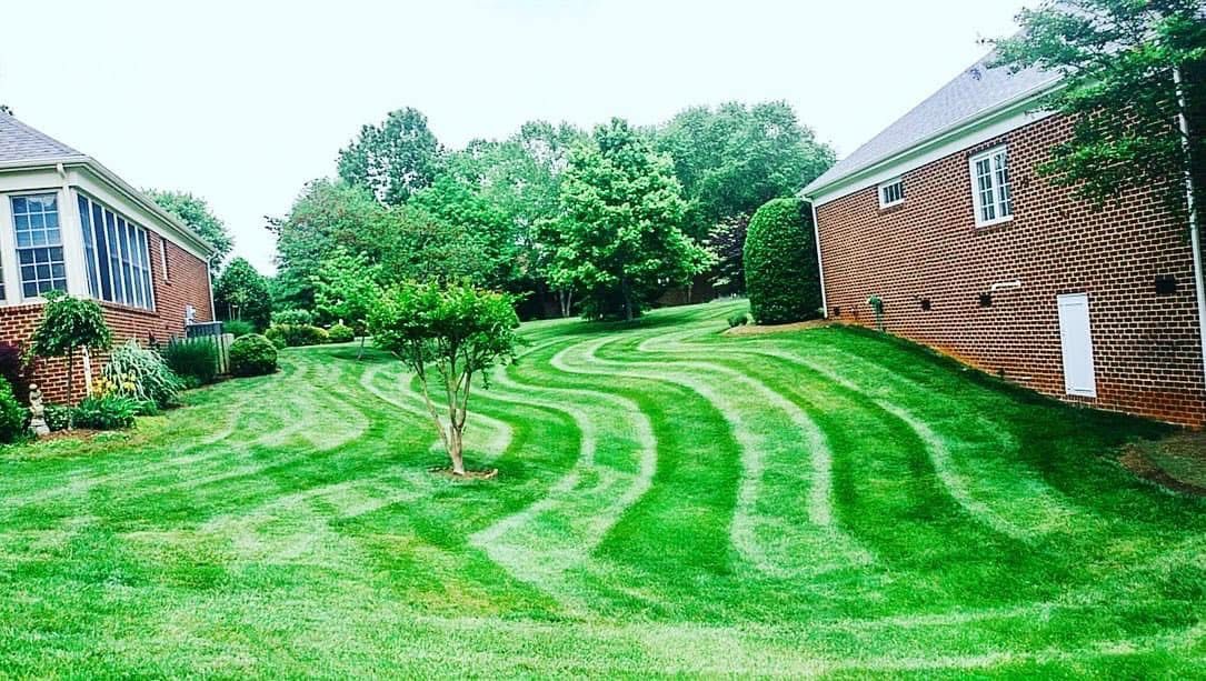 Green lawn with wavy stripes mowed between two houses, trees in the background.