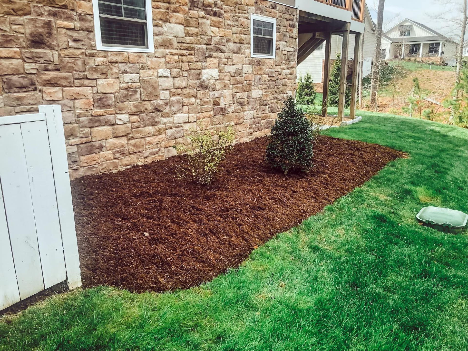 Brown mulch bed with two plants next to a stone building and a green lawn.