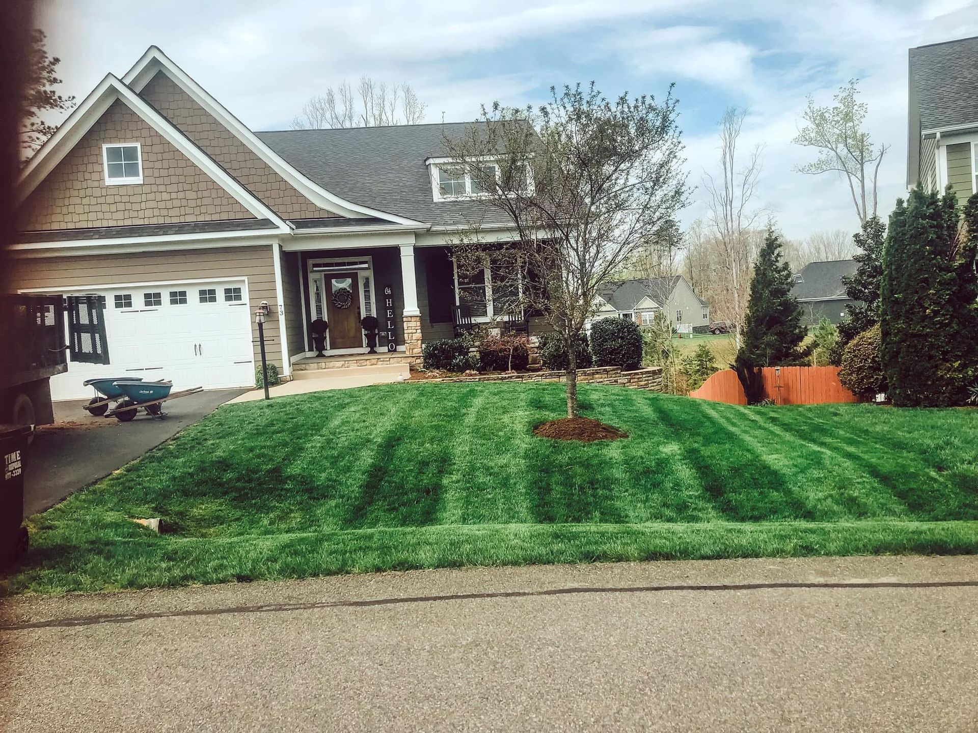 Green lawn in front of a house, freshly mowed with stripes, tree in the middle, sunny day.