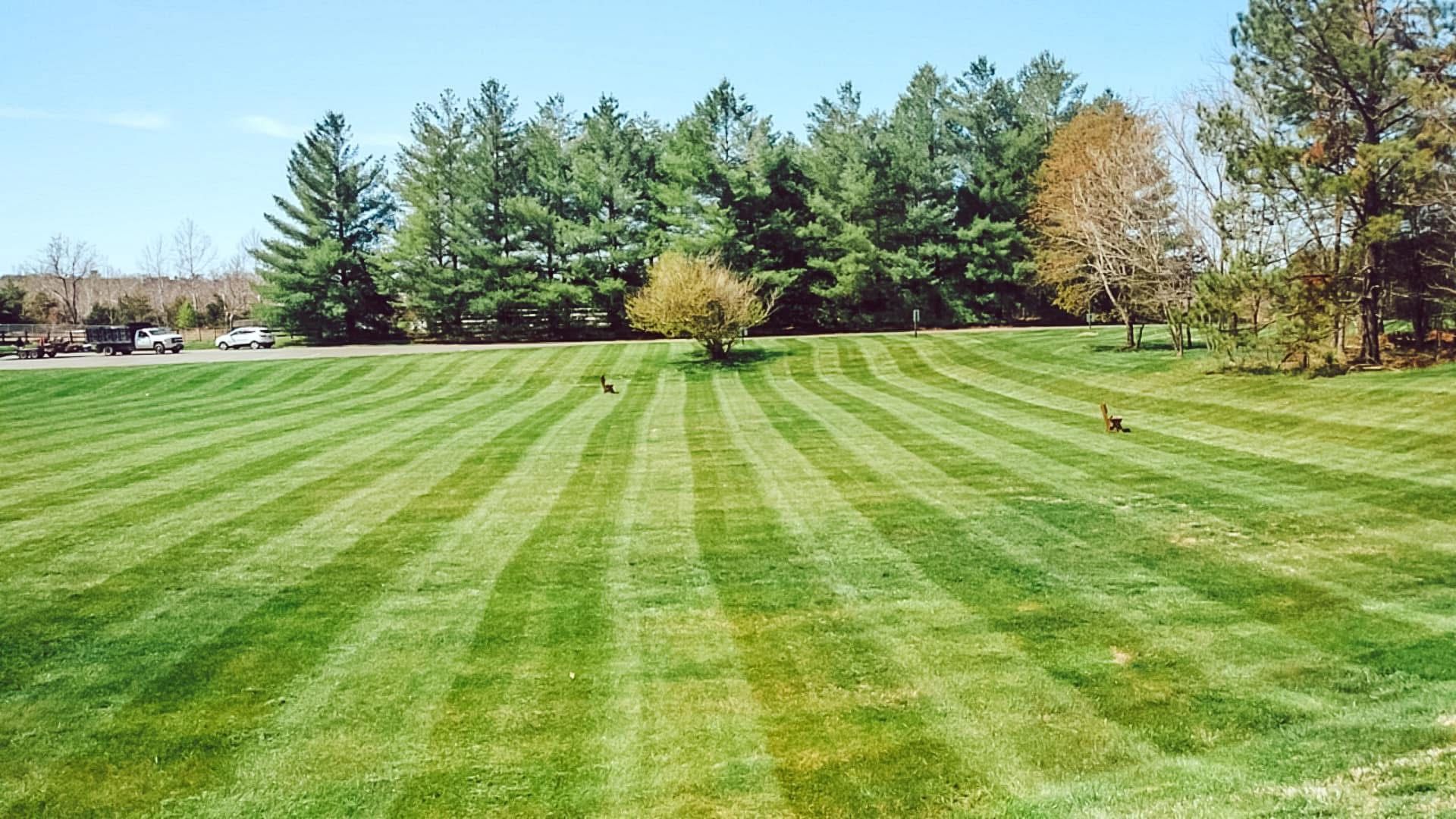 Green lawn with striped mowing pattern, trees in background, sunny day.