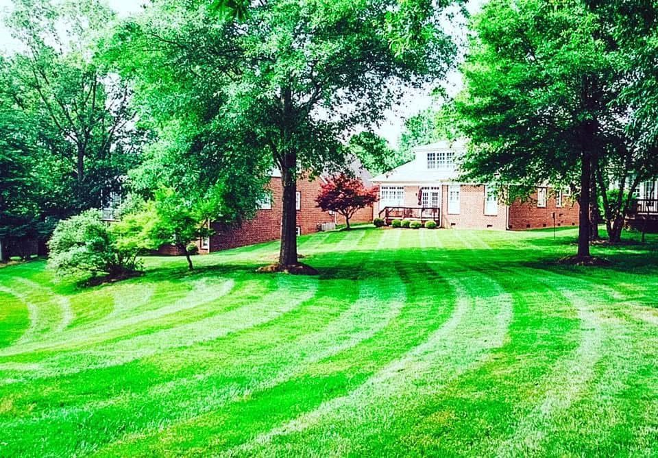 Lawn with curved mowing lines in front of a brick house, surrounded by trees and greenery.