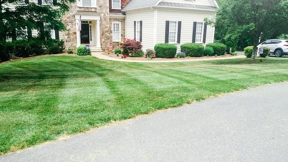 Lawn in front of a house, with fresh mower stripes. Driveway on right.