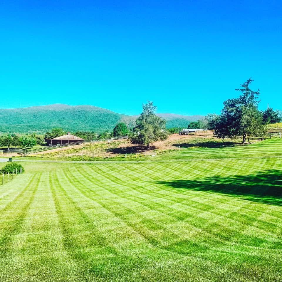 Green lawn with patterned mowing, trees, and buildings against a mountain and blue sky.