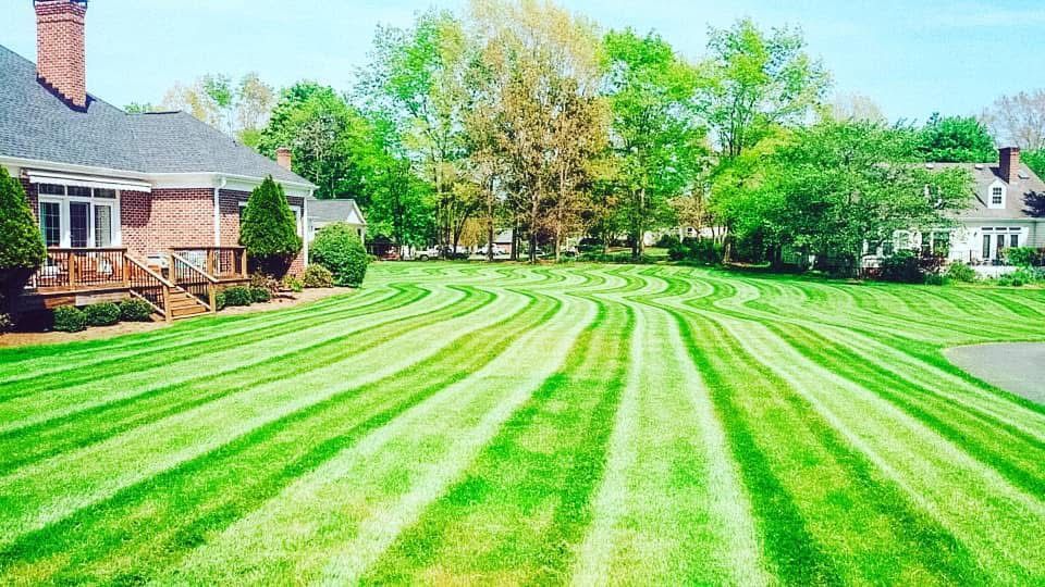 Lawn with curved stripes, mowed between two houses, trees in background, sunny day.