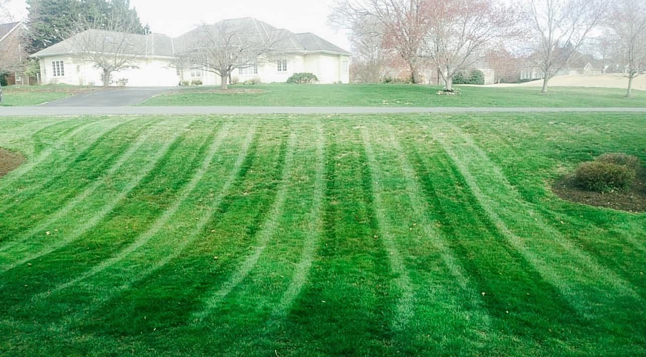 Green lawn with curved mowing pattern, leading to a house.