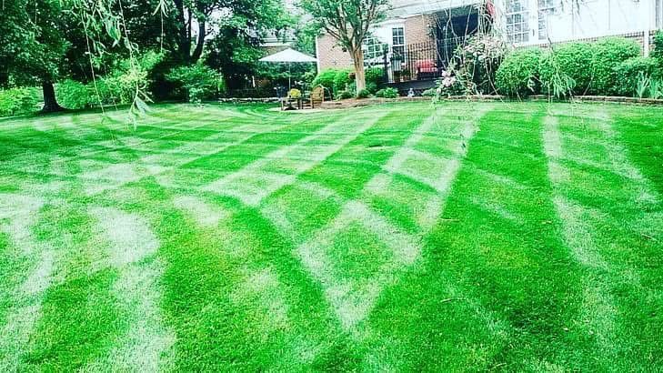 Lawn with a diamond-patterned mowing design. Green grass, house in the background, umbrella, trees.