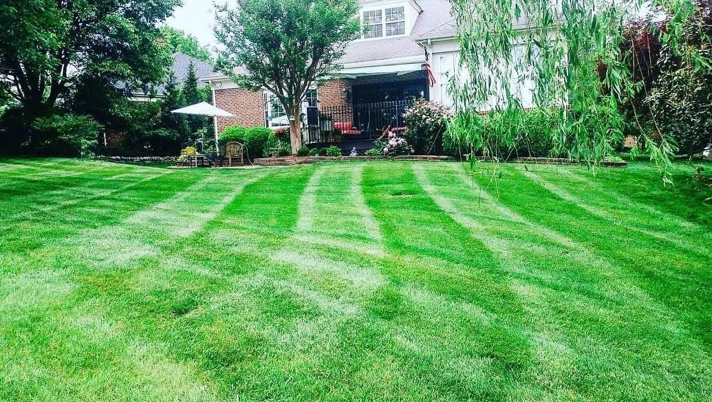 Lawn with striped pattern mowed in front of a house. Trees and bushes in the background. Green grass.