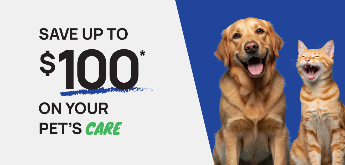 Ad with dog and cat. Save up to $100 on your pet's care.