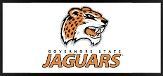 Jaguars logo