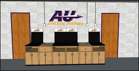 AU Saxon Design Project