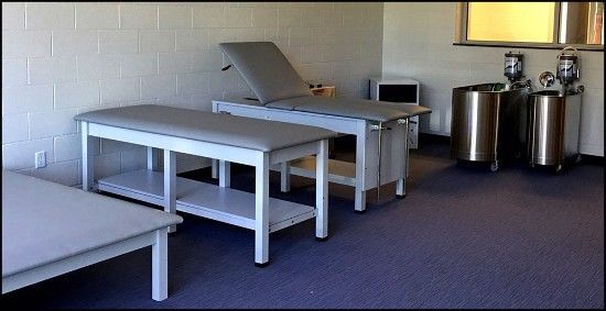 The Cambridge School of Weston